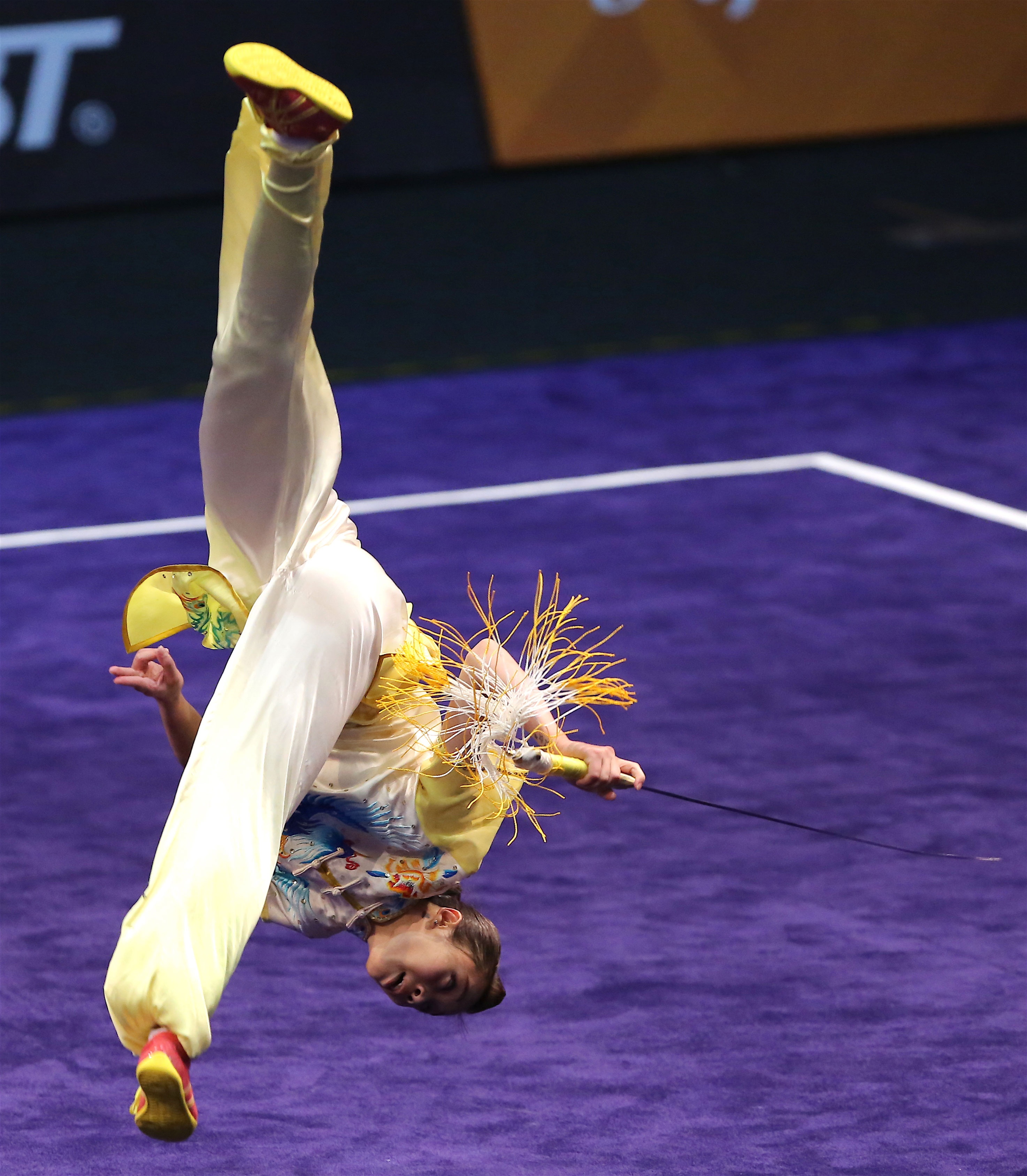 wushu ảnh 5 wushu anh 5