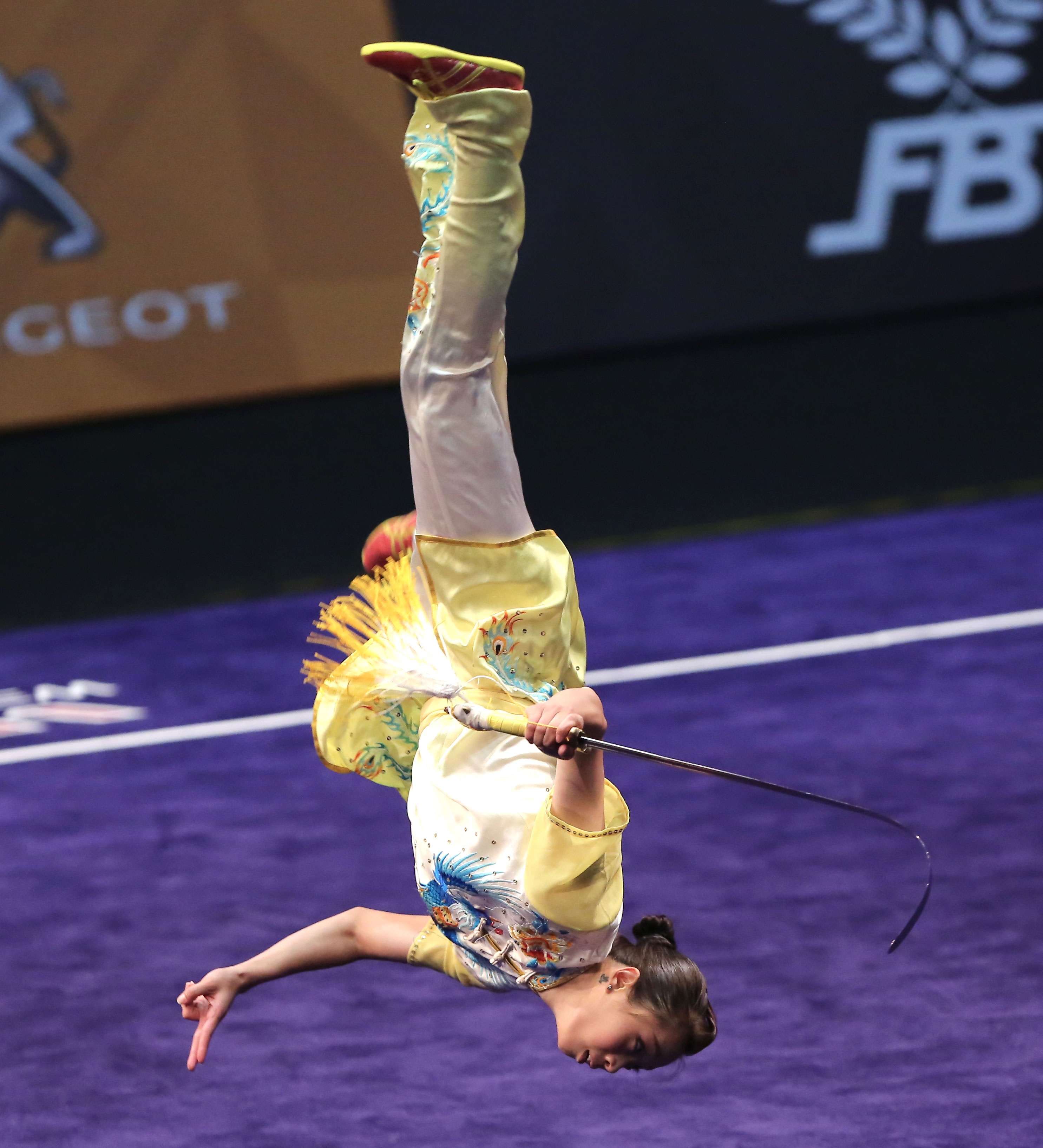 wushu ảnh 6 wushu anh 6