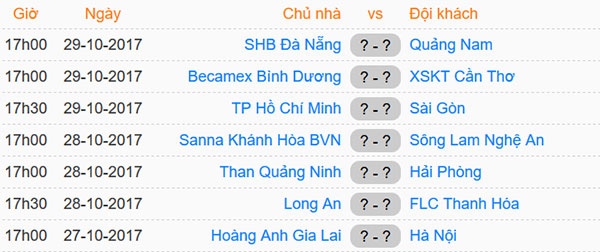Tran HAGL vs CLB Ha Noi anh 3
