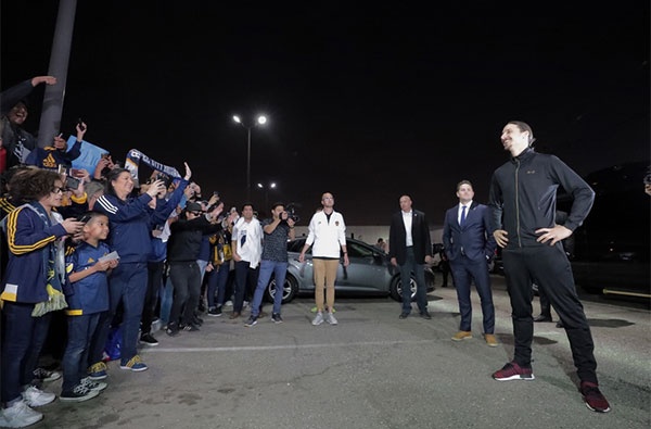 Hang nghin CDV don Ibrahimovic anh 3