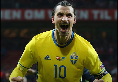 'Ibra muon du World Cup, FIFA cung khong the can noi' hinh anh