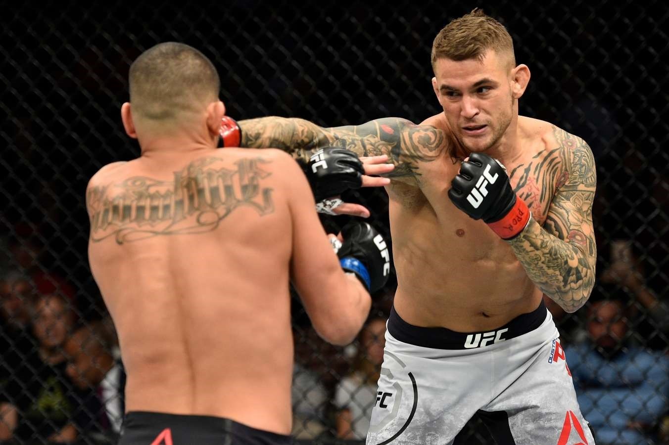 Gaethje quyết đấu Poirier ảnh 1 Gaethje quyet dau Poirier anh 1
