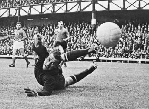 Trong 4 lần tham dự World Cup, Yashin bắt chính ở 3 kỳ đầu tiên, ra sân 12 trận và giữ sạch lưới 4 lần. Dù chưa một lần giơ cao Cúp vàng cũng như chưa từng giành giải Thủ môn xuất sắc nhất World Cup, song ông luôn được đánh giá là người gác đền huyền thoại của giải đấu này. Tính đến nay, cố huyền thoại người Liên Xô vẫn là thủ môn duy nhất giành giải Quả bóng vàng (1963).