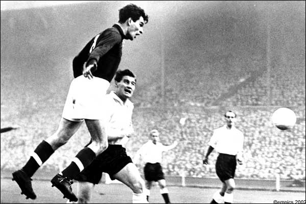 Ngay ở trận khai màn, Kocsis đã lập hat-trick, góp vào chiến thắng 9-0 của Hungary trước Hàn Quốc. Ở trận gặp Tây Đức, ông còn tỏa sáng rực rỡ hơn khi ghi 4 bàn, giúp Hungary đại thắng 8-3. Ở tứ kết và bán kết, Kocsis đều lập cú đúp trong chiến thắng cùng tỷ số 4-2 của đại diện Bắc Âu trước Brazil và Uruguay. Ở chung kết, Kocsis tịt ngòi khiến Hungary thúc thủ trước Tây Đức với tỷ số 2-3.