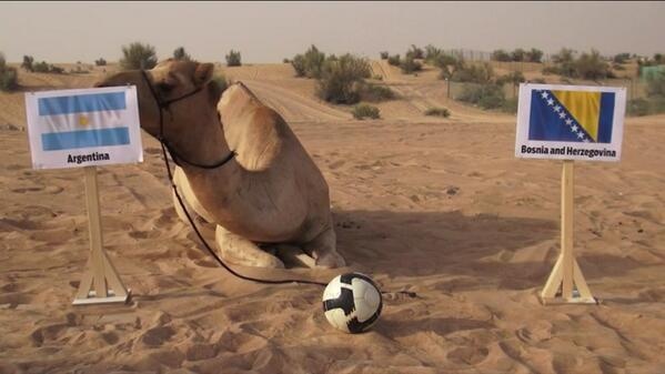 Lac da du doan Argentina danh bai Bosnia hinh anh