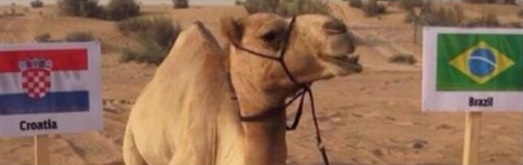 Lac da du doan Brazil danh bai Croatia hinh anh