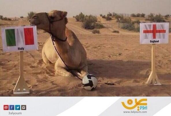 Lac da du doan Italy danh bai Anh hinh anh