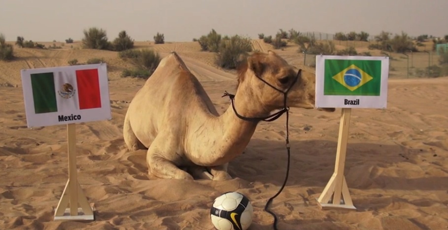 Lac da Shaheen du doan Brazil se danh bai Mexico hinh anh