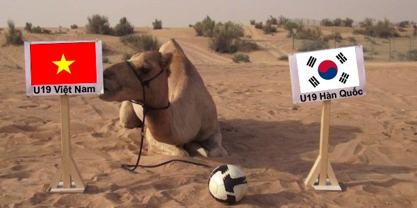 Anh che tien tri lac da du doan sai tran U19 Viet Nam hinh anh