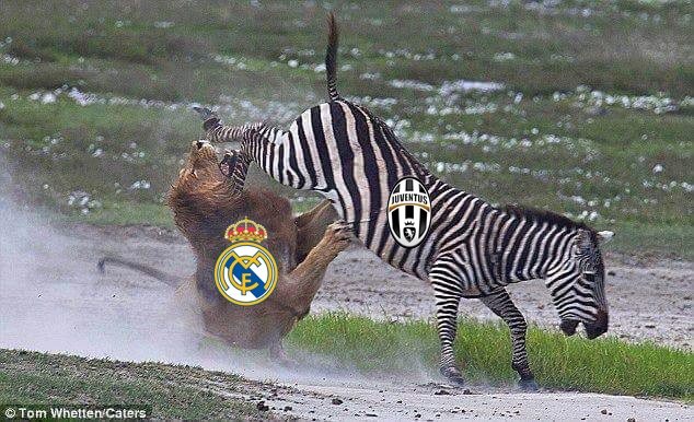 Anh vui 'ngua van' Juve da Real khoi ban ket Cup C1 hinh anh