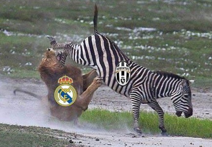 Anh vui Juve bien Real thanh cuu vo dich Champions League hinh anh
