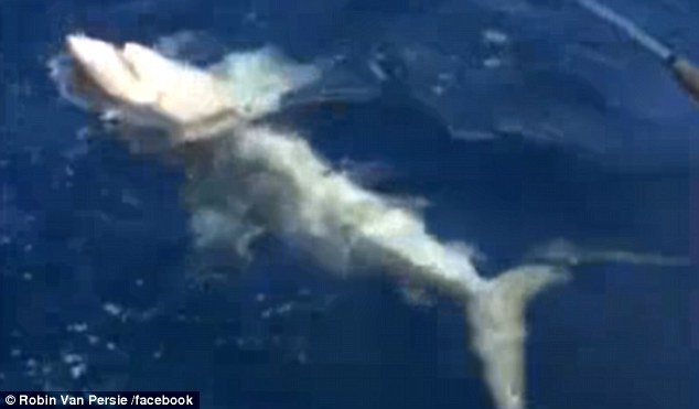 Van Persie hao hung vi cau duoc ca map hinh anh