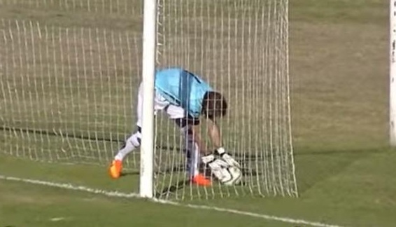 Thu mon Cervetti dot luoi nha hai huoc hinh anh