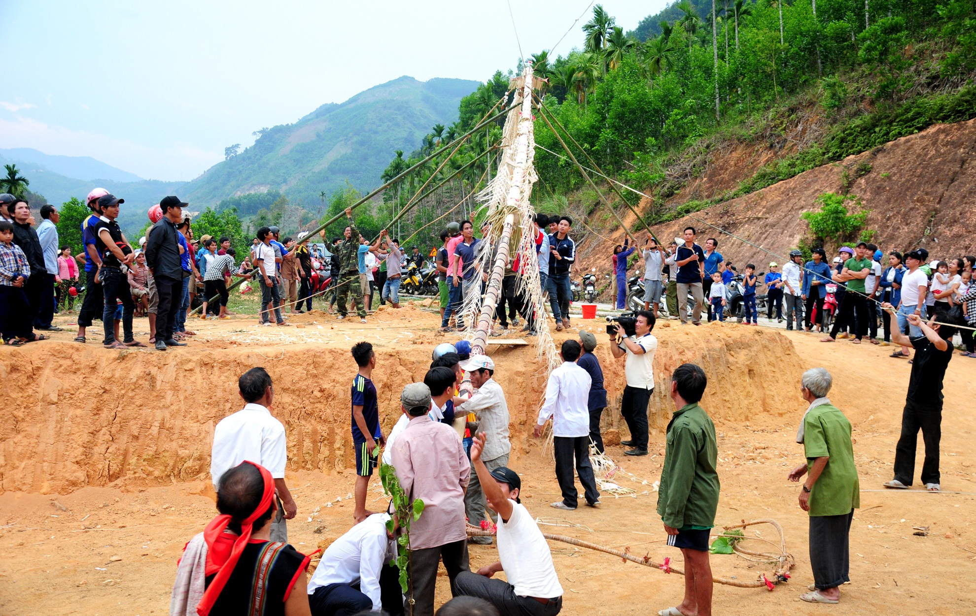 Dam trau,  doi ngheo,  huyen vung cao Son Tay anh 1