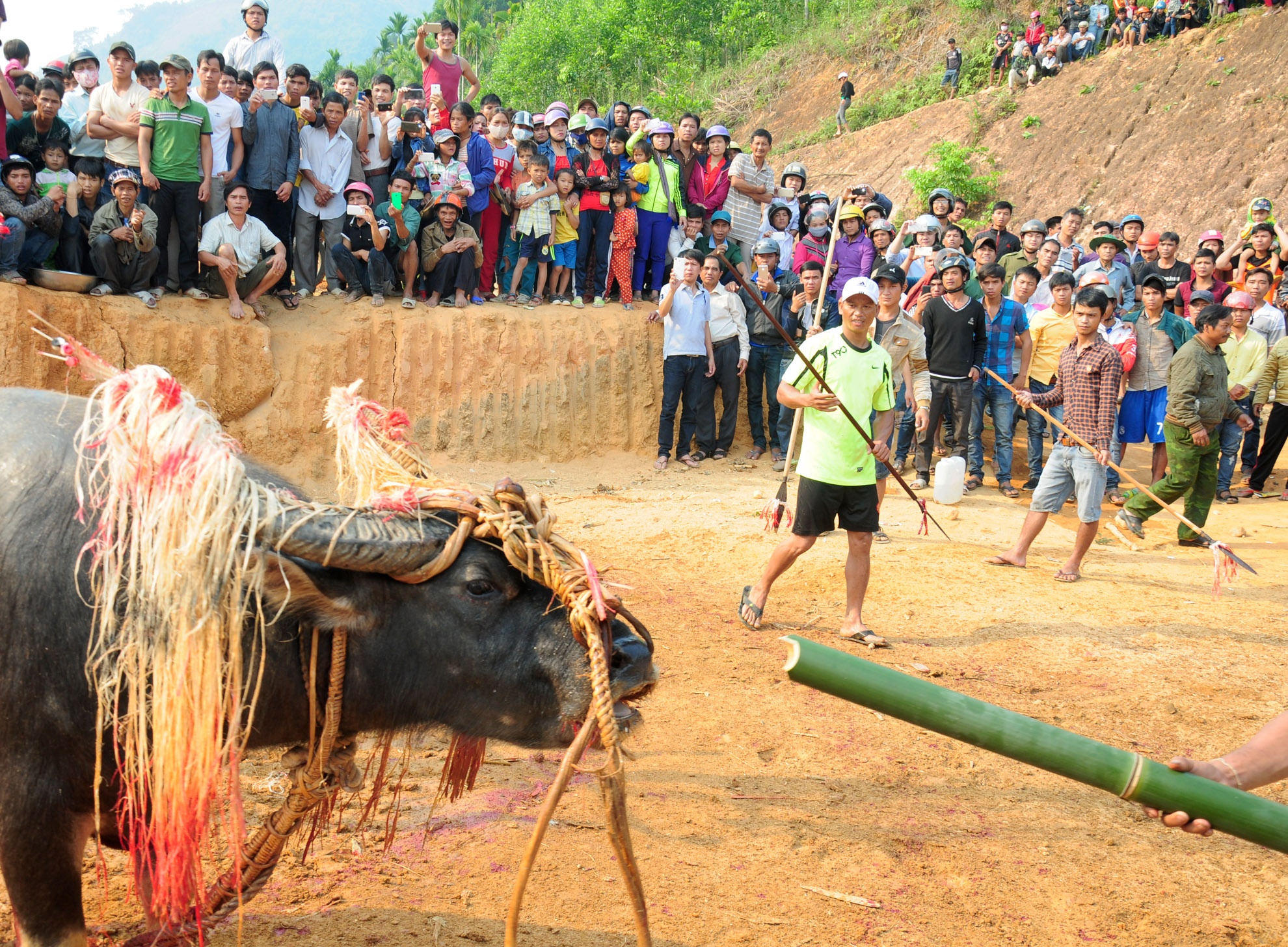 Dan lang no nan, ngheo doi van dam trau hinh anh