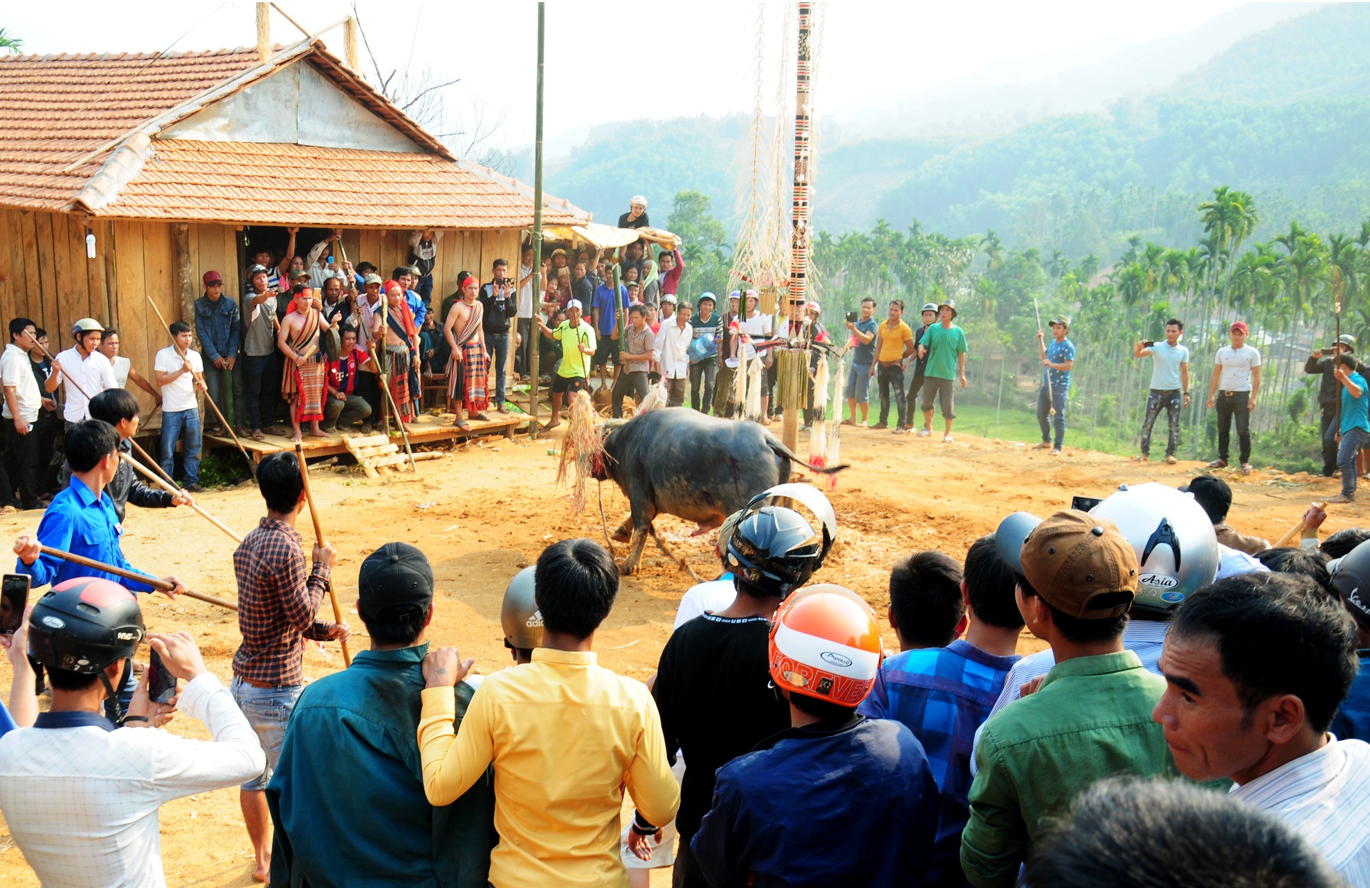 He luy doi ngheo, bo hoc tu tuc dam trau hinh anh