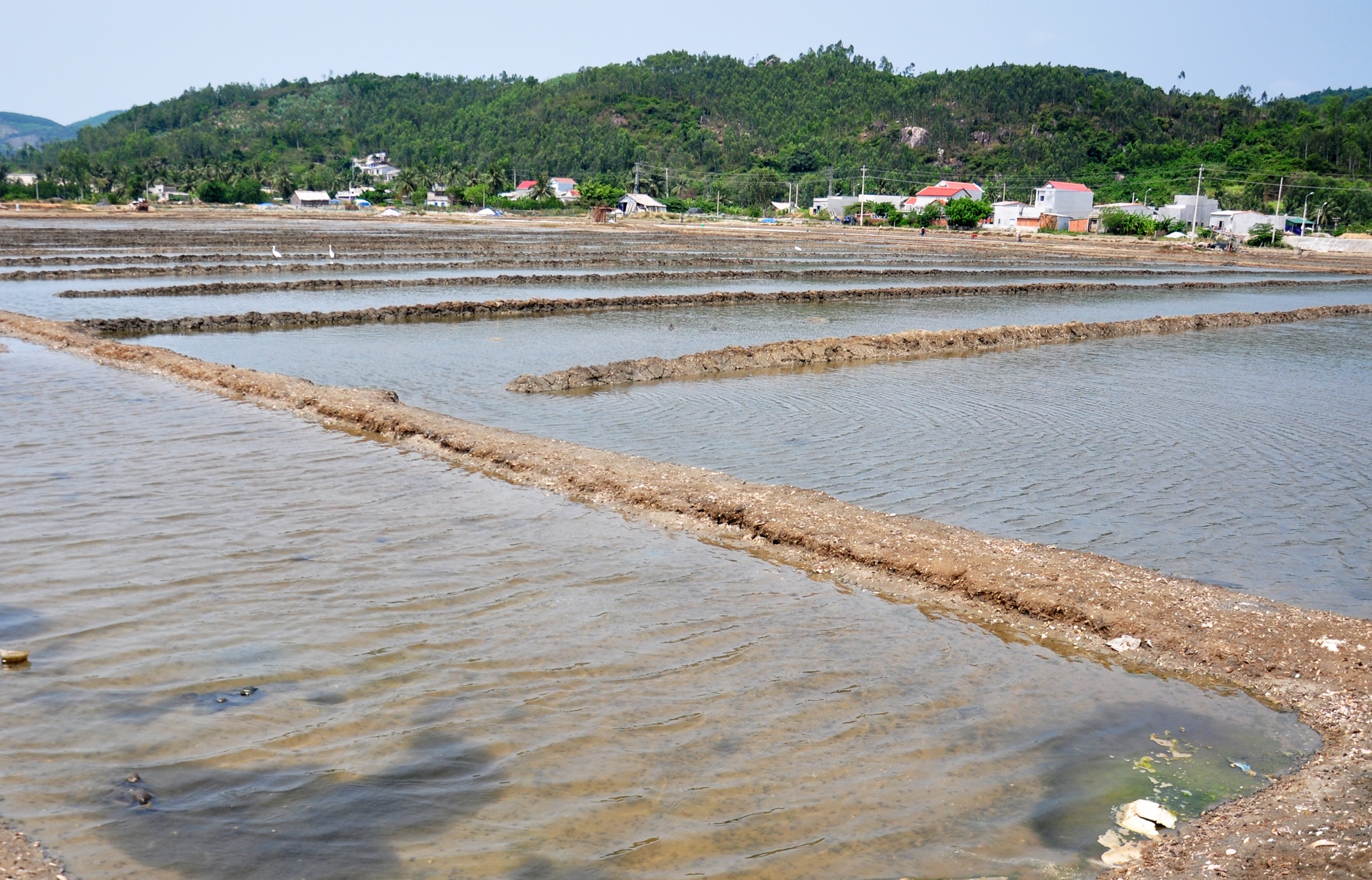 Ban 20 kg muoi khong mua duoc to bun anh 2