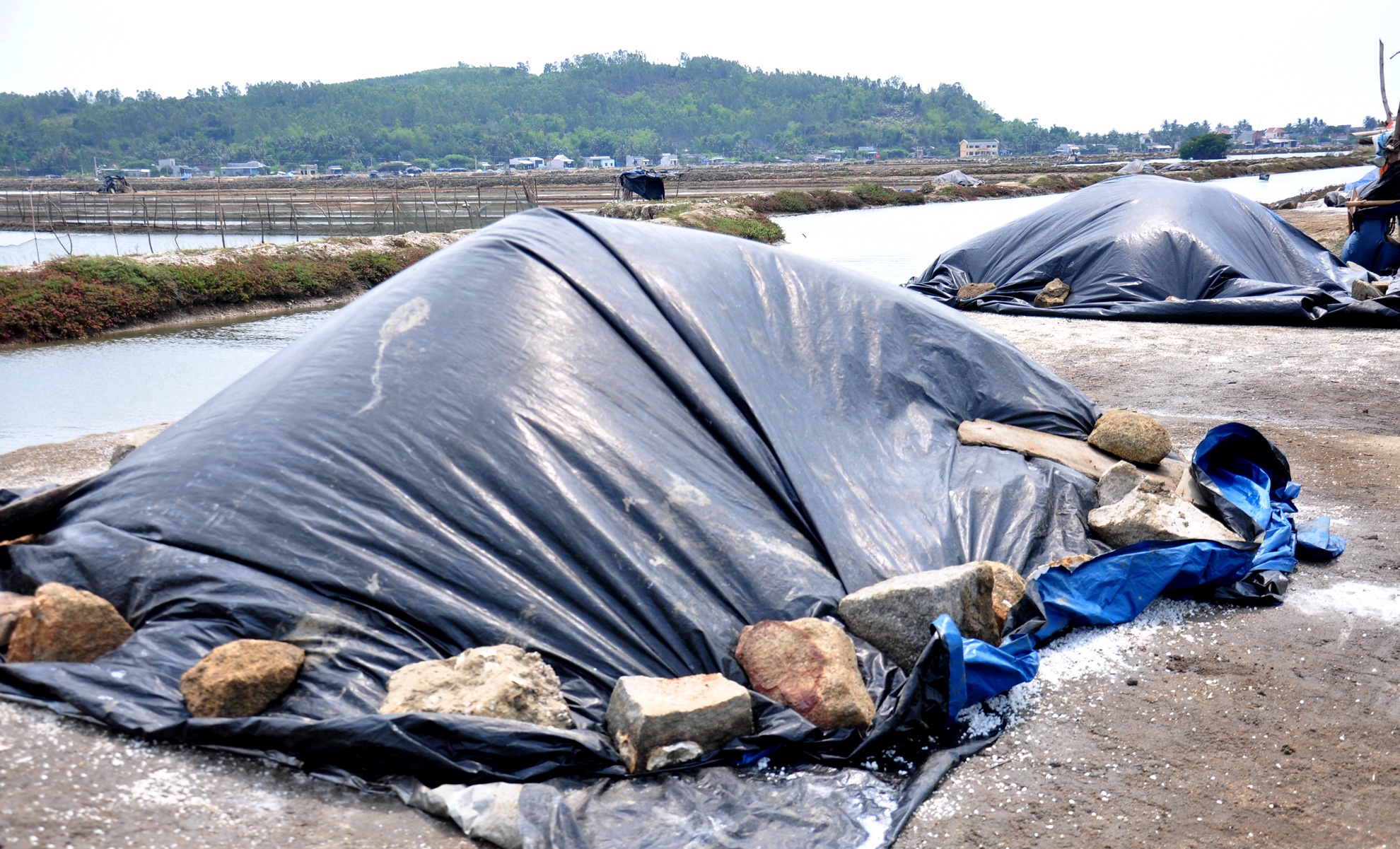 Ban 20 kg muoi khong mua duoc to bun anh 4