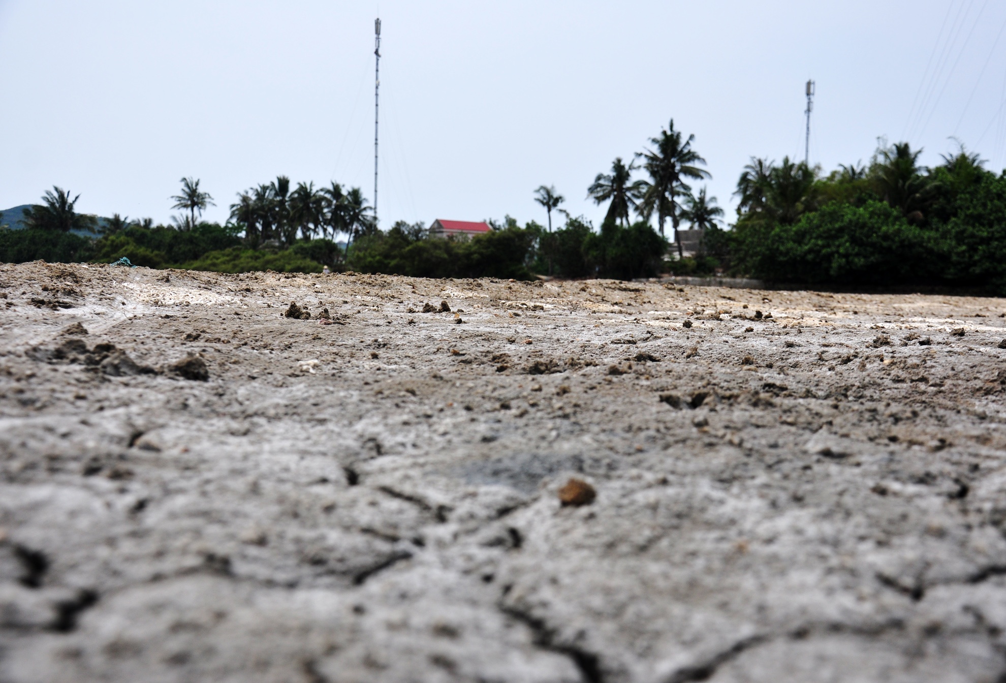 Ban 20 kg muoi khong mua duoc to bun anh 7