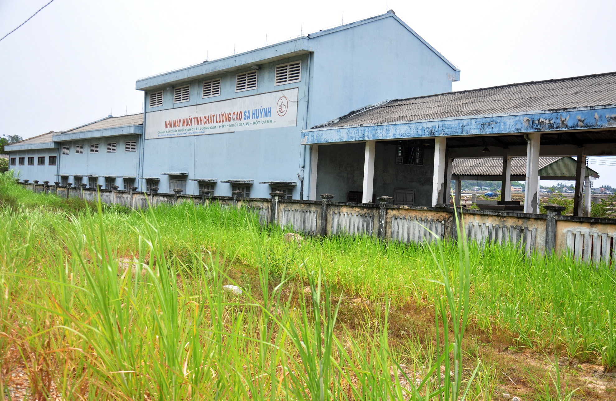 Nha may che bien muoi bo hoang, dan dieu dung hinh anh