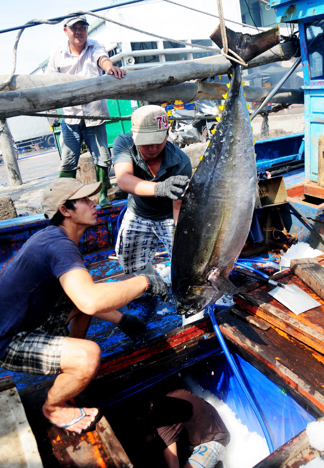 cá chết ở miền trung ảnh 2 ca chet o mien trung anh 2