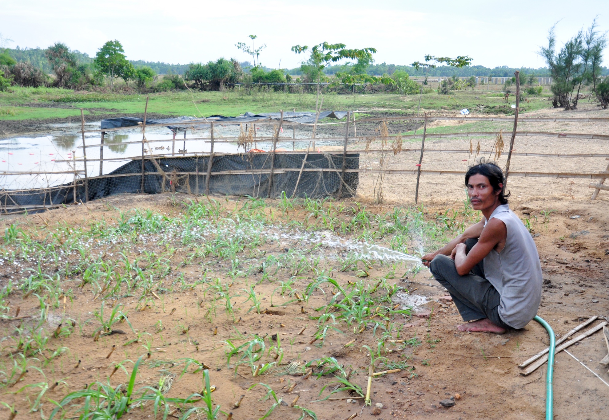 Du thep ty USD bo hoang,  Khu kinh te Dung Quat,  tinh Quang Ngai anh 12