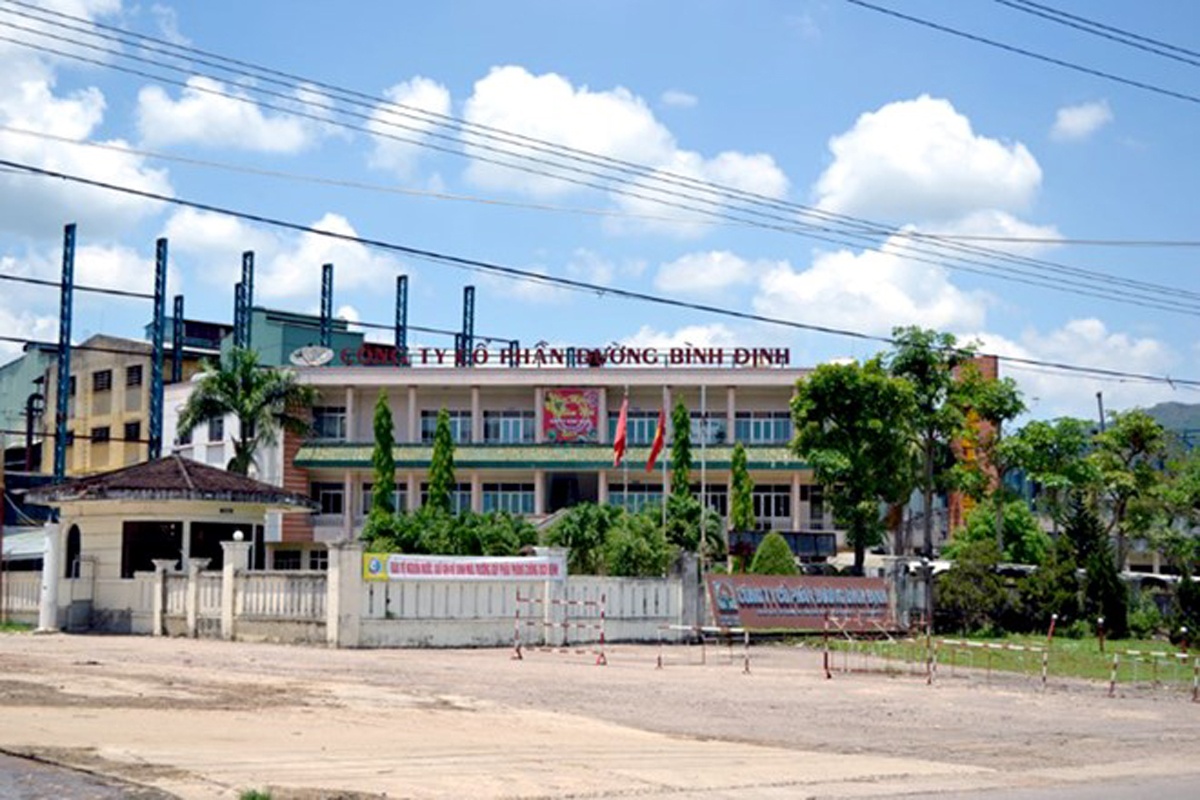 Nha may duong Binh Dinh no thue hon 15 ty dong hinh anh