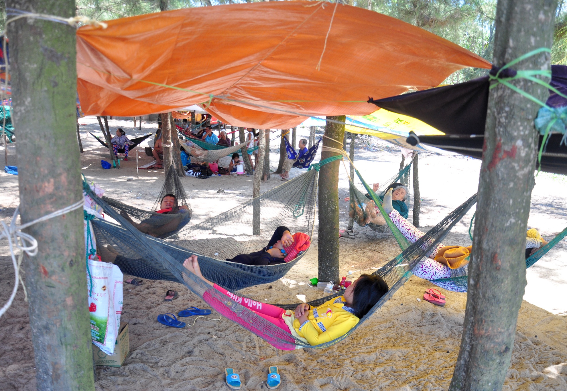 Dan ra bien tron nang nong anh 8