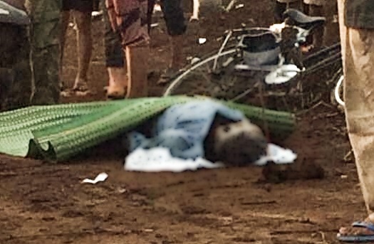 Cu ong tu vong o san van dong hinh anh