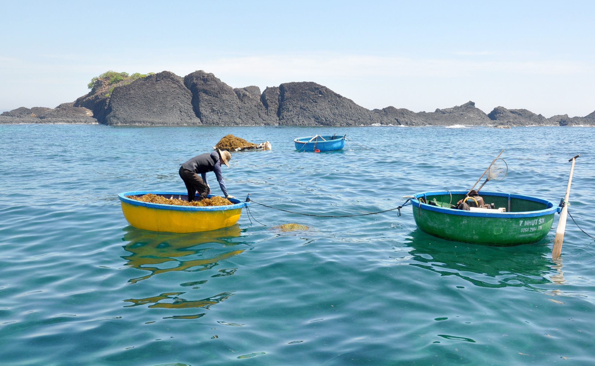 Khai thac rong mo ven bien Quang Ngai anh 1