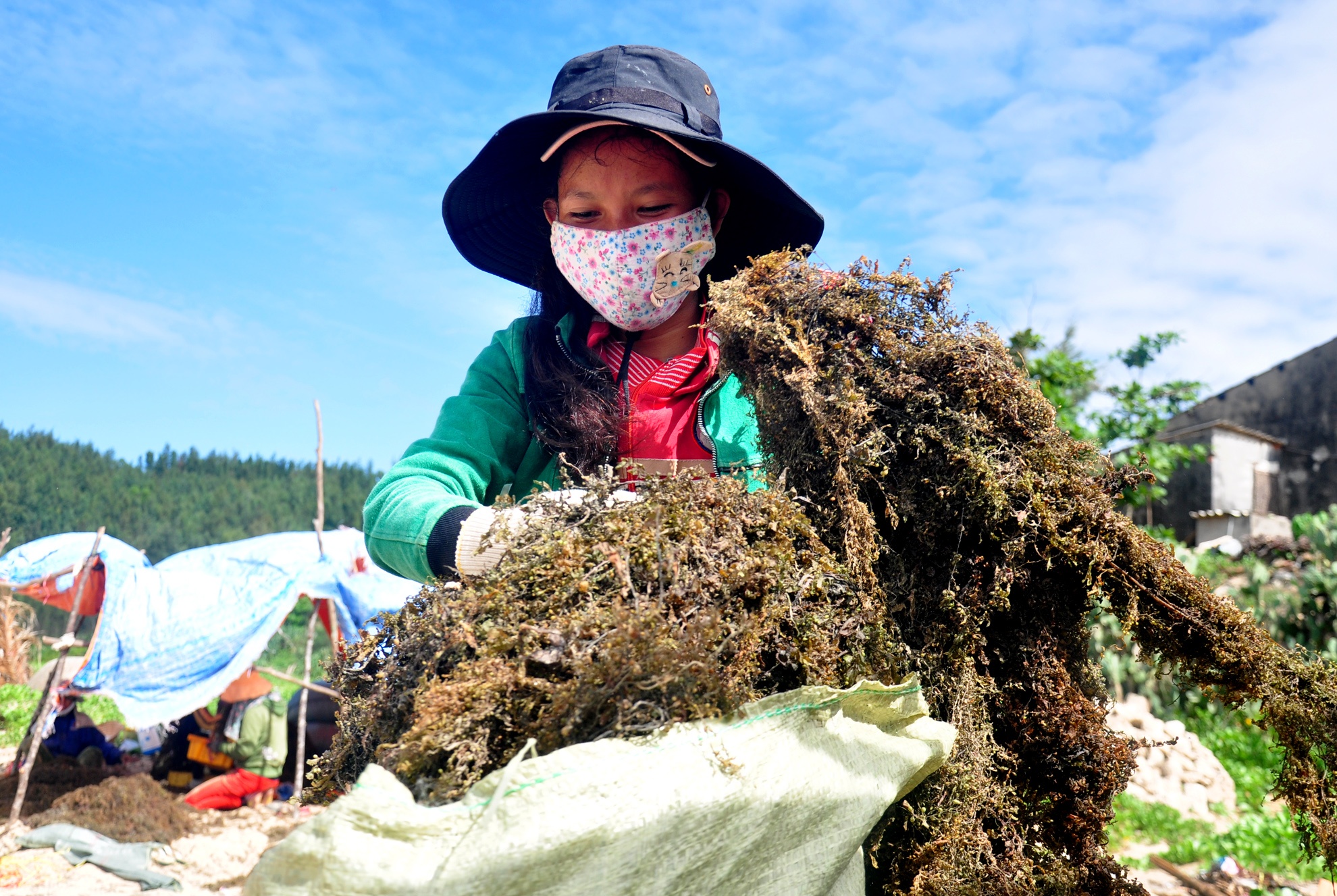 O at khai thac rong mo vung bien Quang Ngai hinh anh