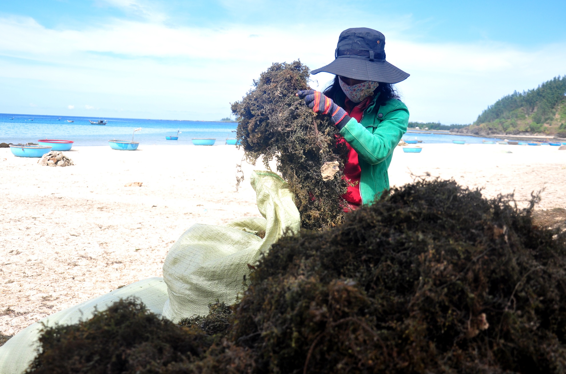 Khai thac rong mo ven bien Quang Ngai anh 6