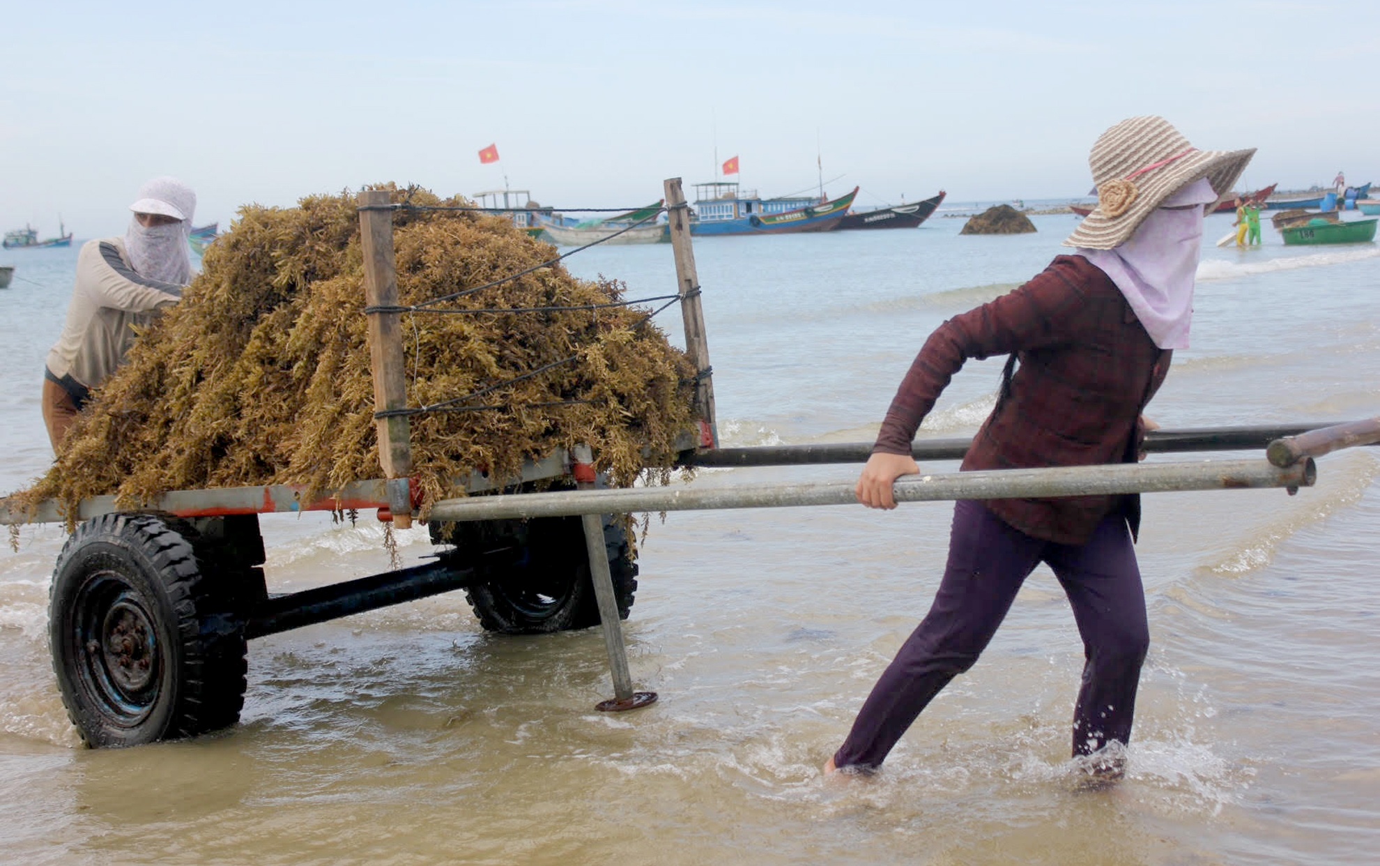 Khai thac rong mo ven bien Quang Ngai anh 8