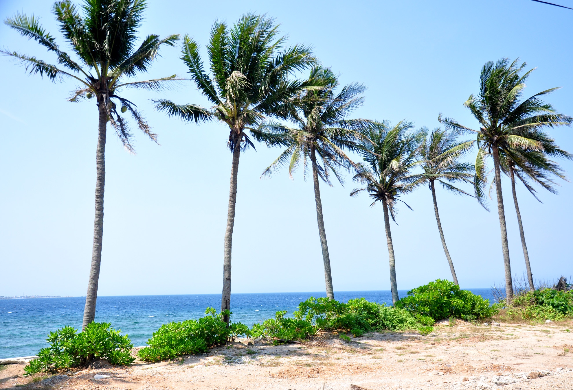 Dao Be  Ly Son anh 10