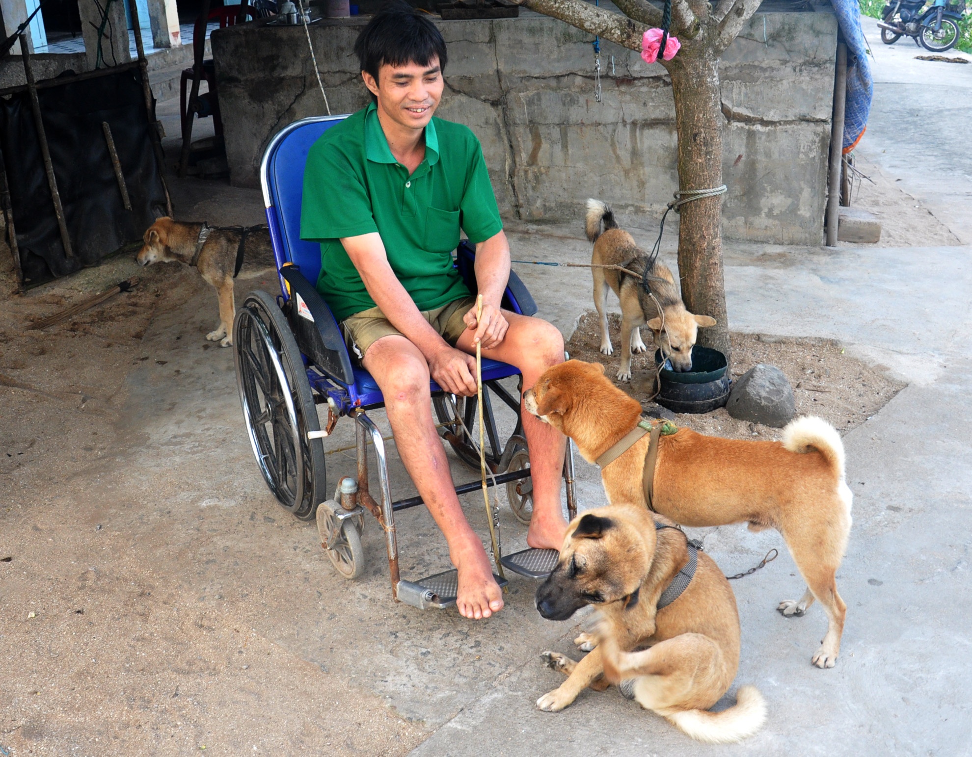 Chang trai bai liet lam du lich o dao Be Ly Son hinh anh