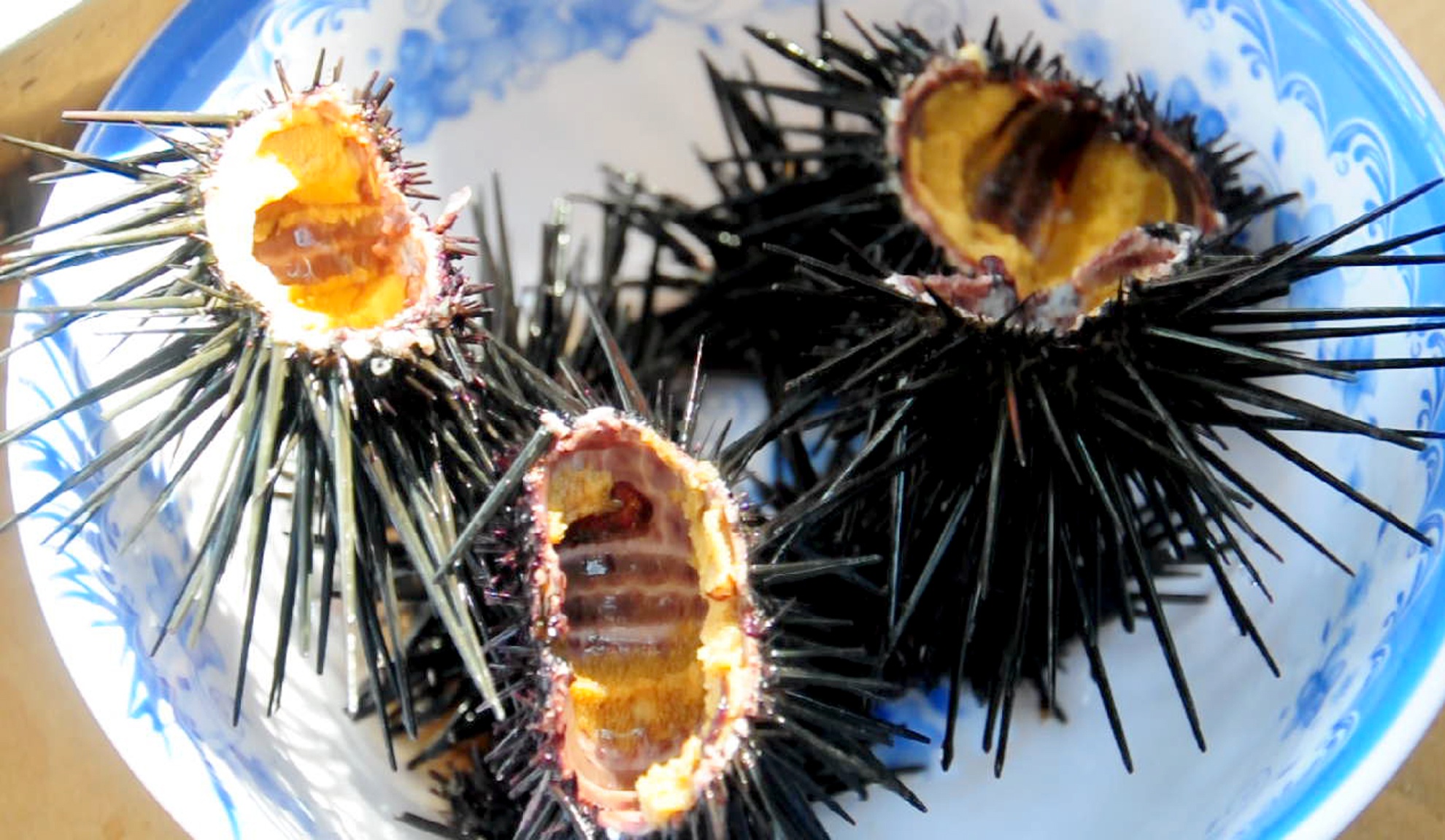 Ngu dan thu nhap cao tu nghe lan bat nhum bien anh 3