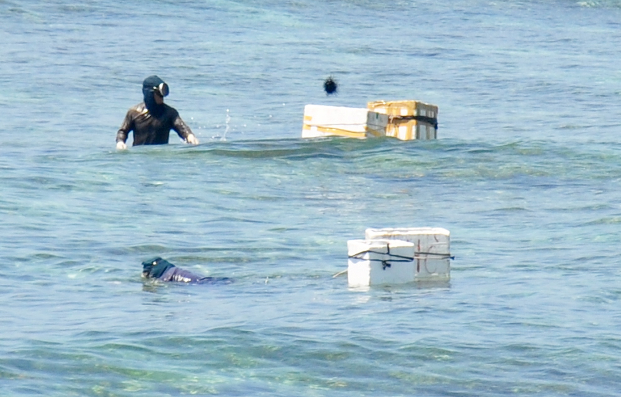 Ngu dan thu nhap cao tu nghe lan bat nhum bien anh 2