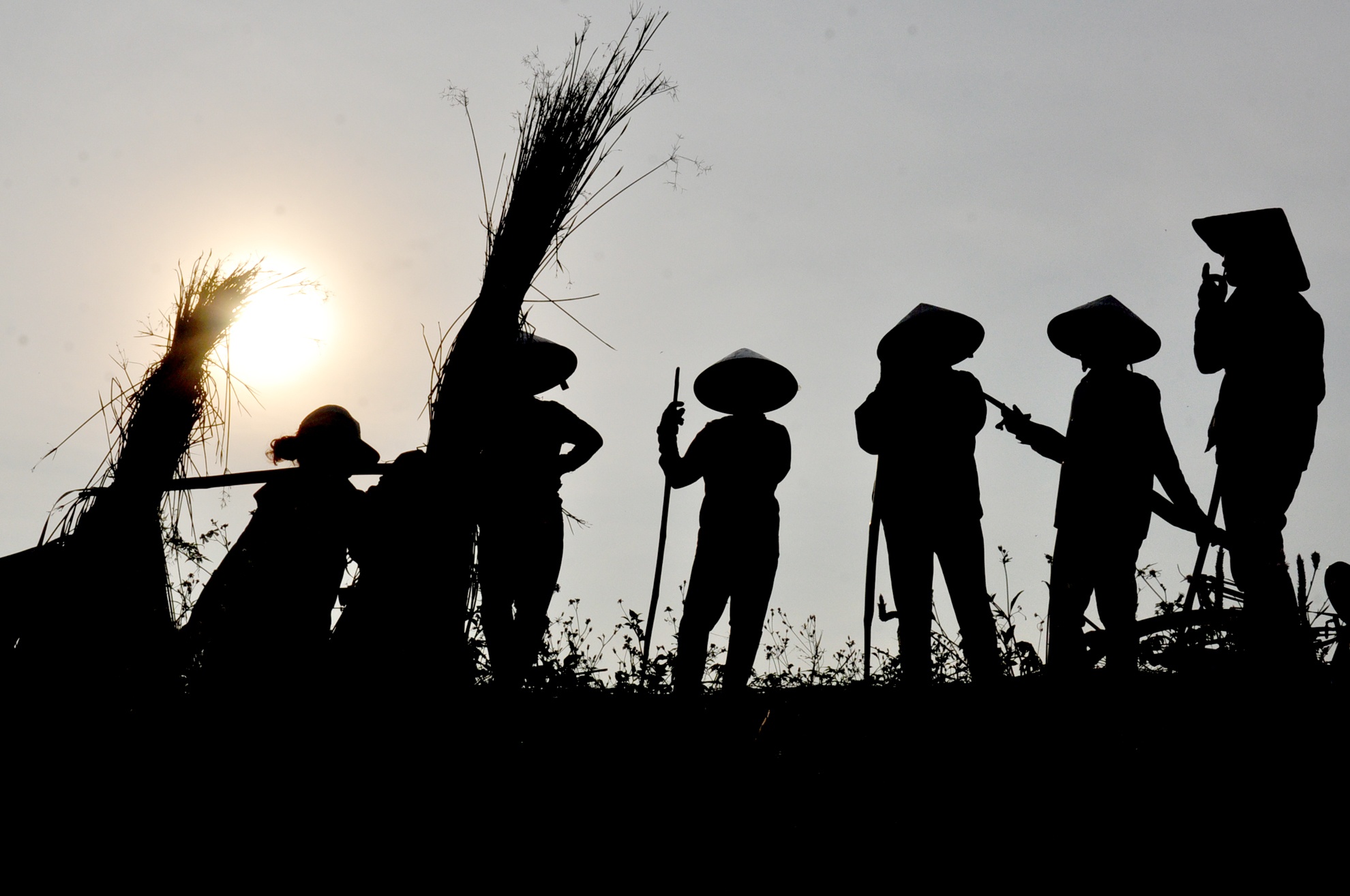 Lang chieu coi dep nhu coi mo  o Binh Dinh anh 6