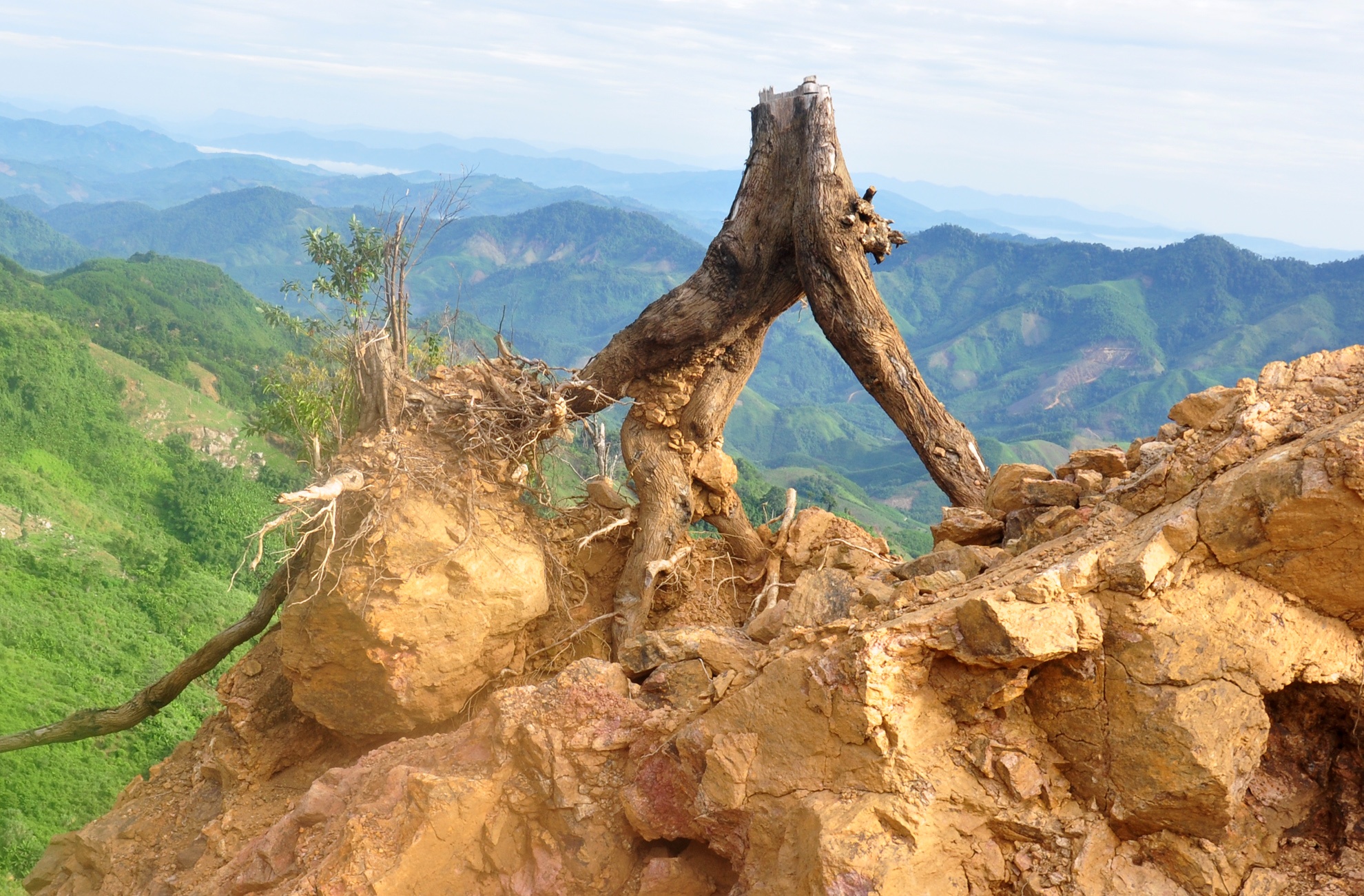 Cuoc chien voi vang tac anh 6