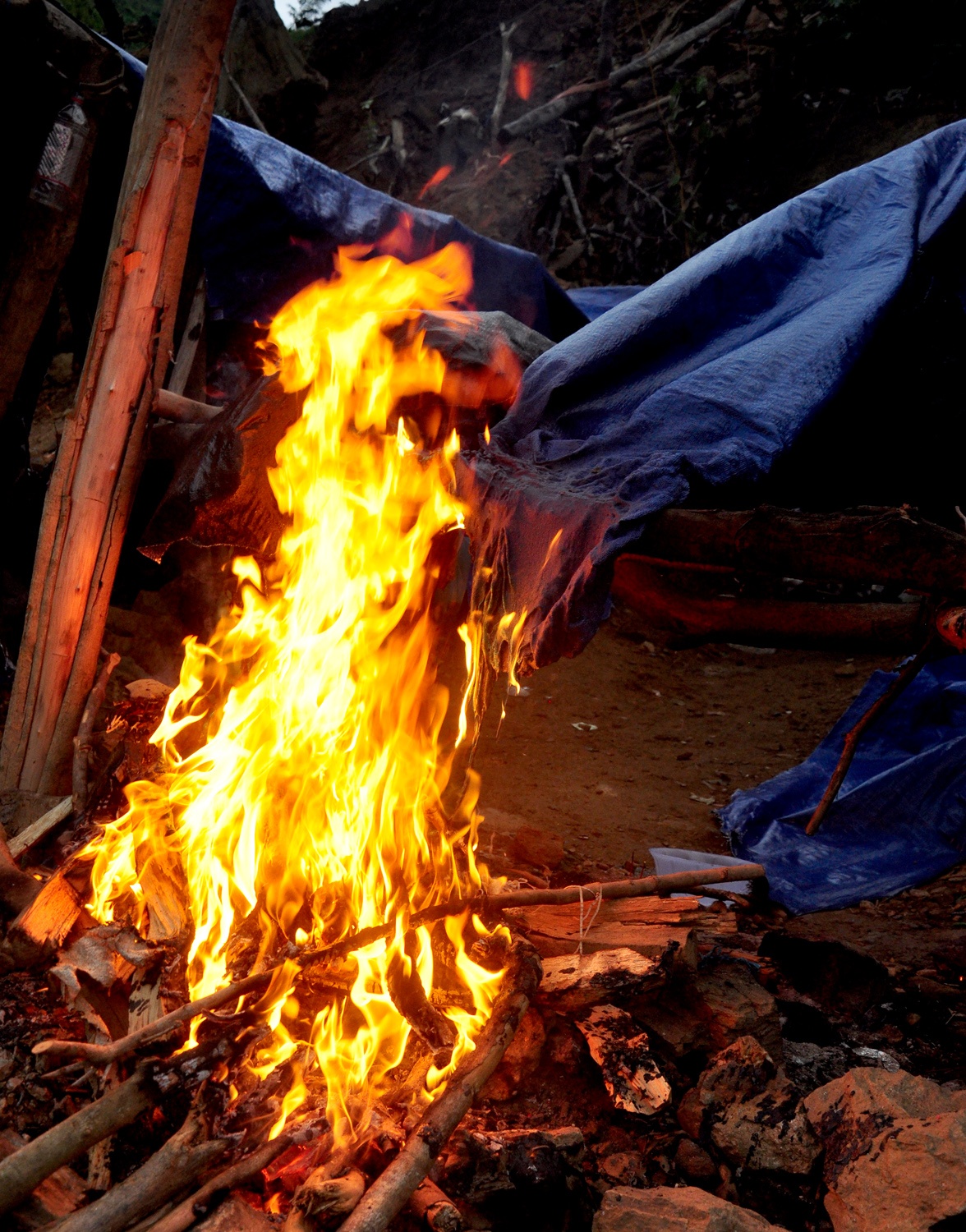 Cuoc chien voi vang tac anh 4