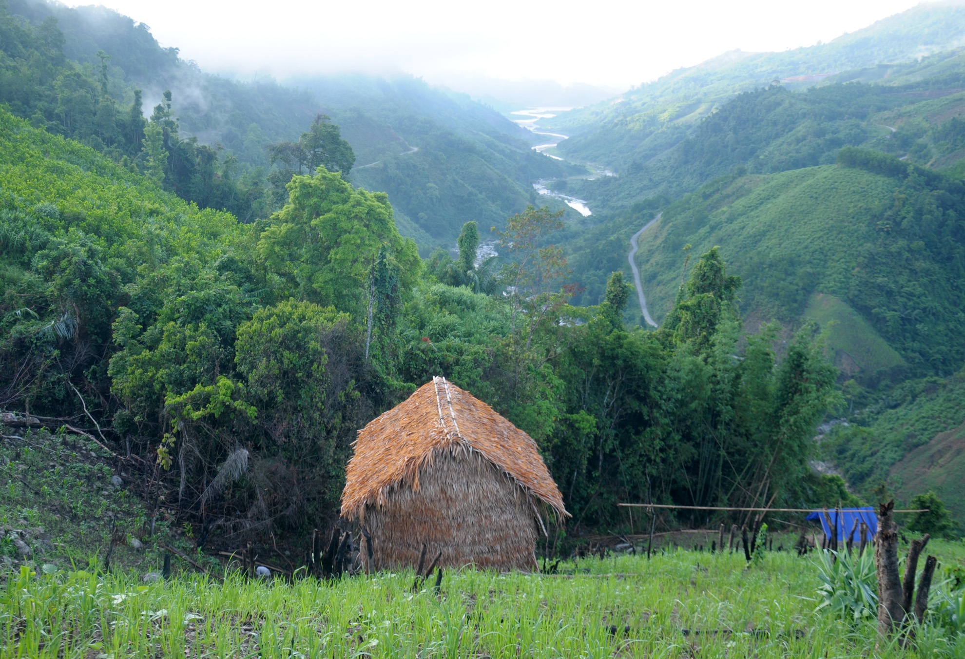 Cuoc song nuong ray cua 'Nguoi rung' Quang Ngai anh 3