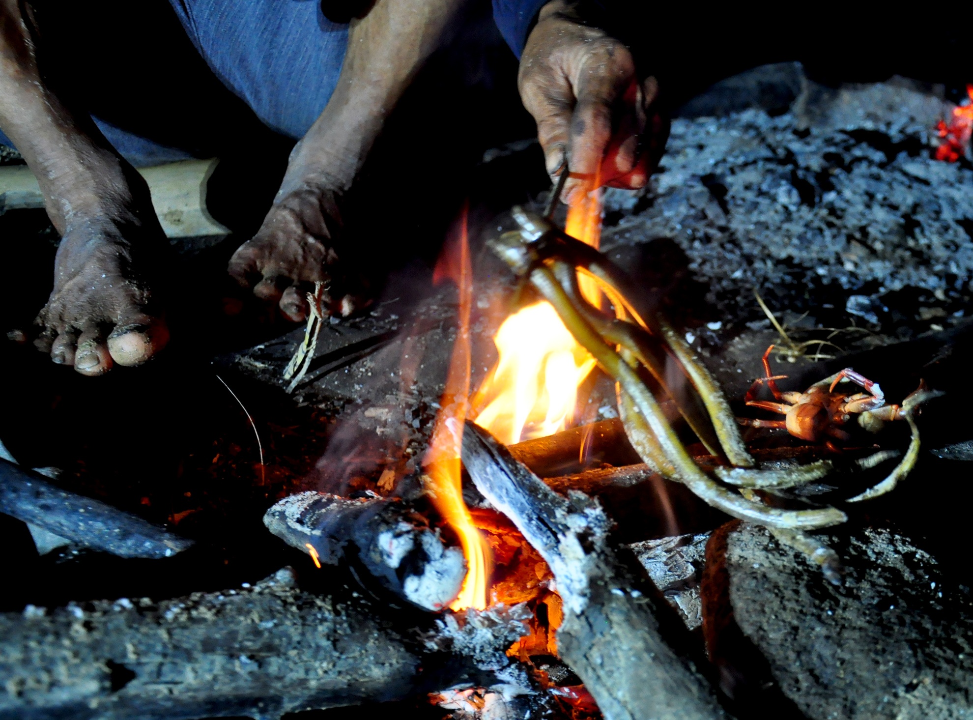 Cuoc song nuong ray cua 'Nguoi rung' Quang Ngai anh 13