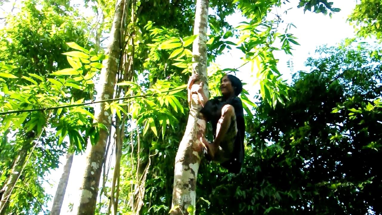 'Tazan Viet Nam' thich song hoang da tren nuong ray hinh anh