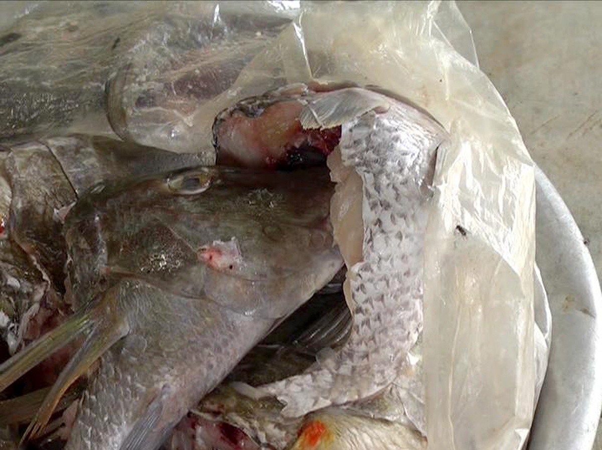 28 người nhập viện nghi ngộ độc cá hồng ảnh 2 28 nguoi nhap vien nghi ngo doc ca hong anh 2