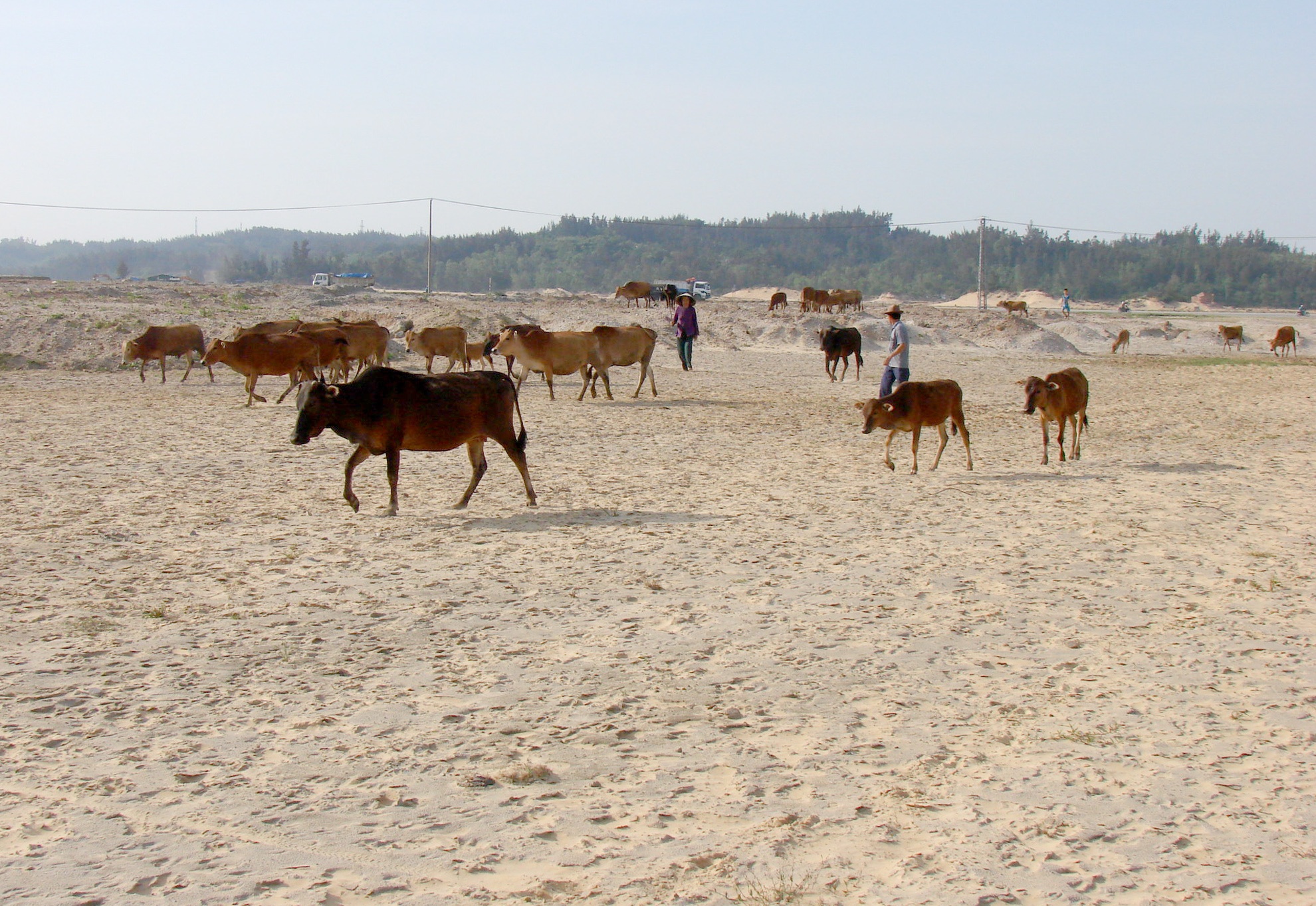 Dung Quat phat trien dot pha sau 20 nam anh 1