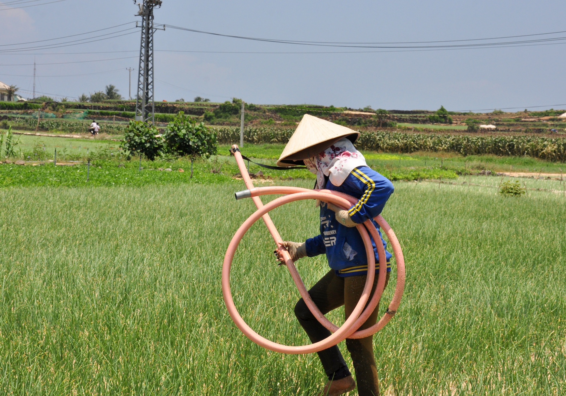 Hai nguoi dan dao Ly Son bi dien giat nguy kich hinh anh