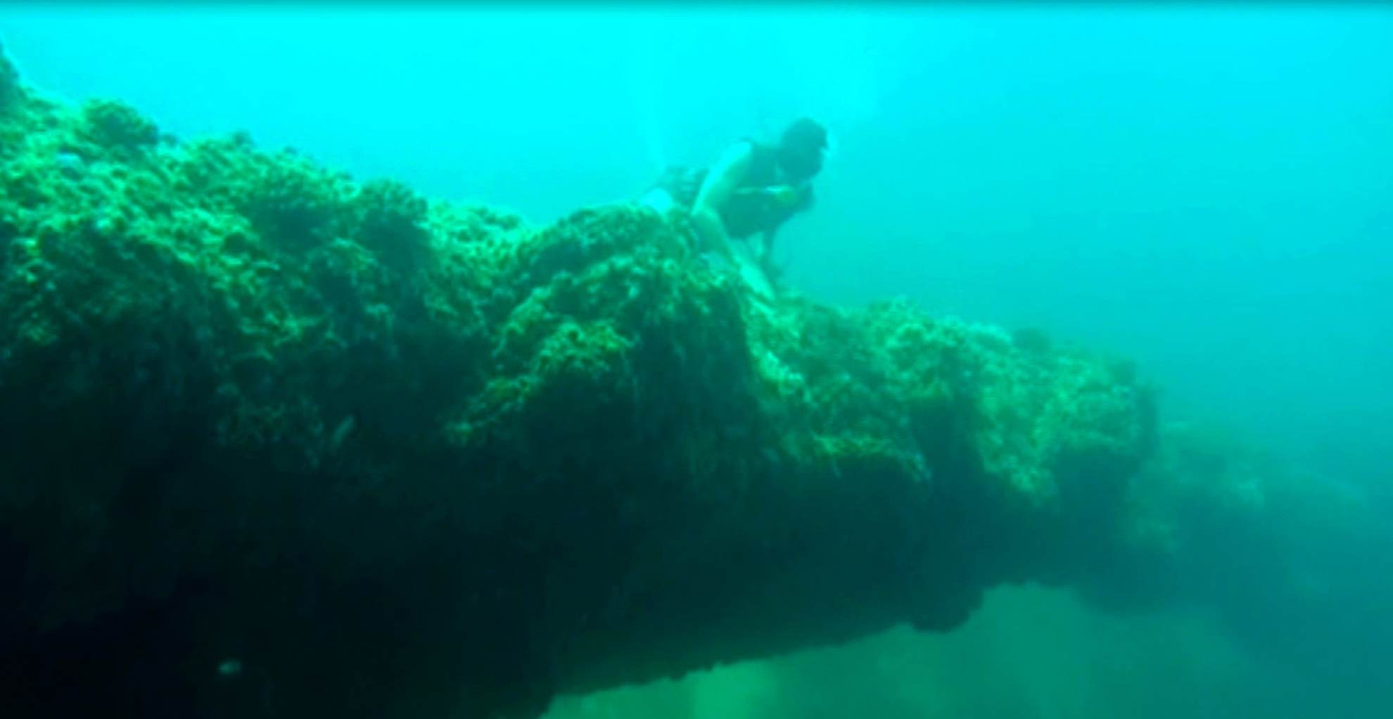 Phat hien nhieu mieng nui lua co duoi day bien Ly Son hinh anh