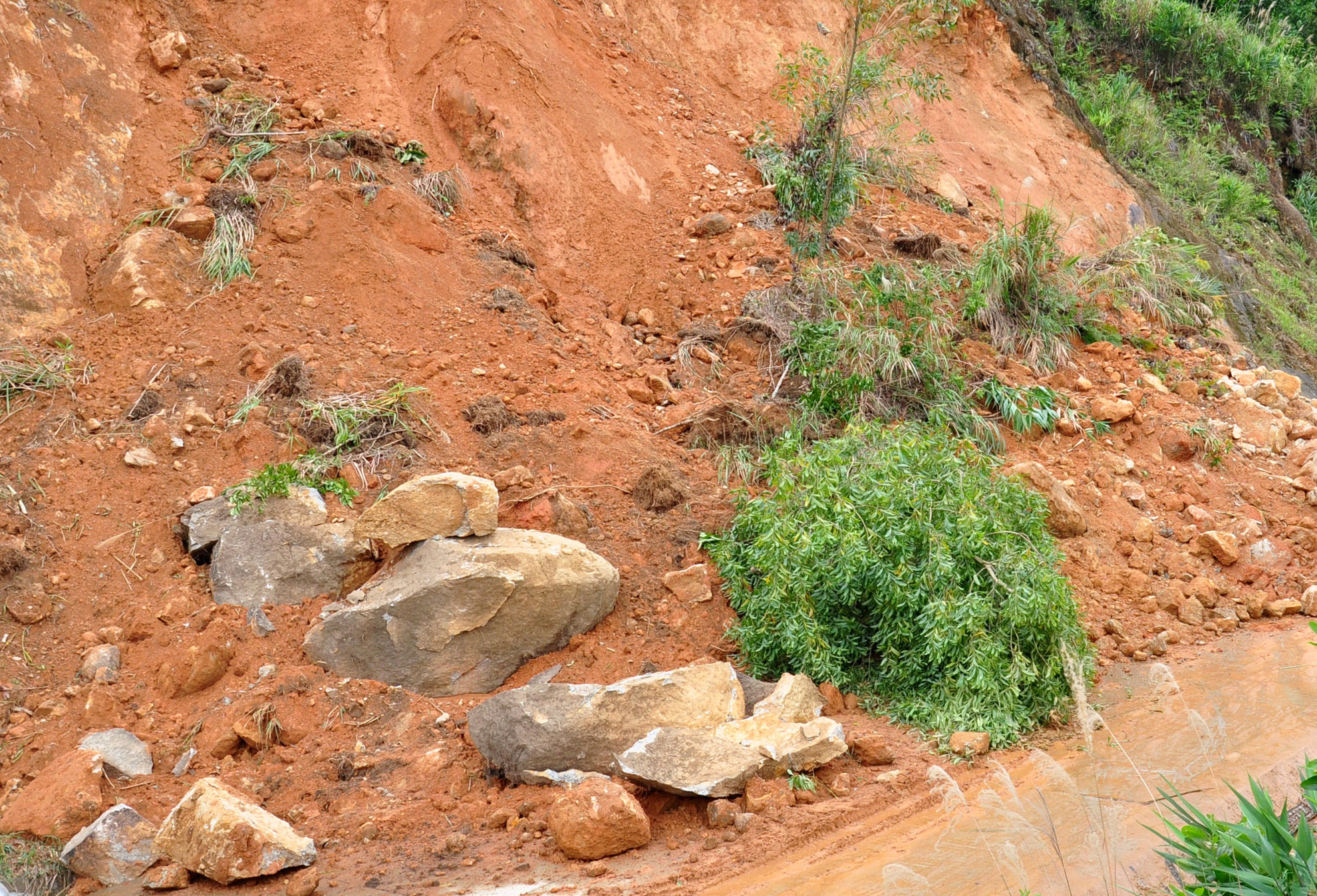 Sat lo nui de doa tinh mang hang tram nguoi dan Quang Ngai hinh anh