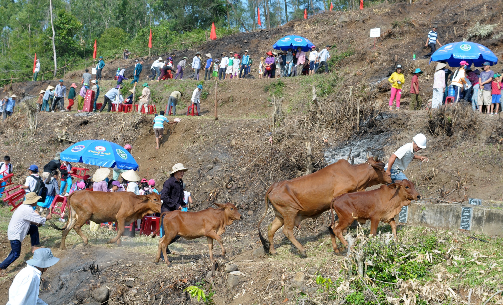 Dien tap ung pho song than anh 5