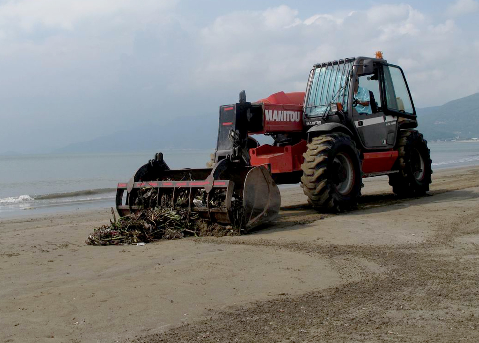Bèo trôi dạt vào bãi biển Quy Nhơn ảnh 2 Beo troi dat vao bai bien Quy Nhon anh 2